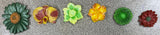 Flower Themed Magnet Sets
